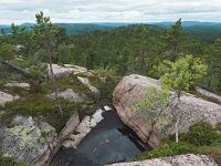 S, Vasternorrlands lan, Kramfors, Hogklinten 5, Saxifraga-Hans Dekker