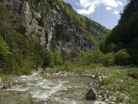 F, Drome, Glandage, Gorge des Gats 3, Saxifraga-Jan van der Straaten