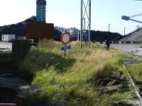 Calamagrostis epigejos 10, Duinriet, Saxifraga-Rutger Barendse