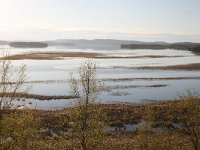 FIN, Lapland, Ivalo 3, Saxifraga-Dirk Hilbers