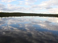 FIN, Oulu, Kuusamo, Oulanka 6, Saxifraga-Dirk Hilbers