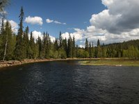 FIN, Oulu, Kuusamo, Oulanka 8, Saxifraga-Dirk Hilbers