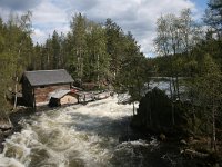 FIN, Oulu, Kuusamo, Oulanka 9, Saxifraga-Dirk Hilbers