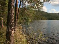 FIN, Oulu, Kuusamo, Valtavaara NP 8, Saxifraga-Dirk Hilbers