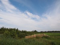 NL, Friesland, Tietjerksteradeel, Alde Feanen 2, Saxifraga-Hans Dekker