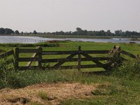 NL, Friesland, Tietjerksteradeel, Alde Feanen 4, Saxifraga-Hans Dekker