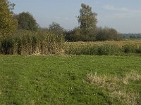 NL, Noord-Brabant, Sint Michielsgestel, Dooibroek 1, Saxifraga-Jan van der Straaten