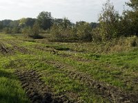 NL, Noord-Brabant, Waalwijk, Labbegat 4, Saxifraga-Jan van der Straaten