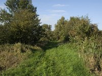 NL, Noord-Brabant, Waalwijk, Labbegat 5, Saxifraga-Jan van der Straaten