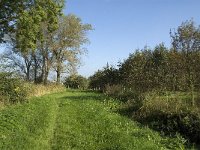 NL, Noord-Brabant, Waalwijk, Meerdijksche Driessen 5, Saxifraga-Jan van der Straaten