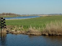 NL, Noord-Holland, Landsmeer, Ilperveld 1, Saxifraga-Jan van der Straaten