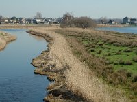 NL, Noord-Holland, Oostzaan, Polder Oostzaan 2, Saxifraga-Jan van der Straaten