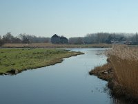 NL, Noord-Holland, Oostzaan, Polder Oostzaan 4, Saxifraga-Marijke Verhagen