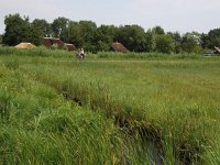 NL, Overijssel, Steenwijkerland, Weerribben 24, Saxifraga-Hans Dekker