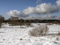 B, Liege, Eupen, Im Platten Venn 105 Saxifraga-Jan van der Straaten