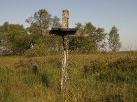 B, Liege, Jalhay, Croix du Prieur 1, Saxifraga-Marijke Verhagen