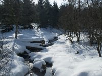 B, Liege, Waimes, Fagne de la Poleur 23, Saxifraga-Willem van Kruijsbergen