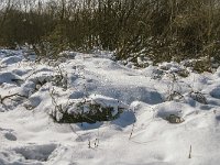 B, Liege, Waimes, Fagne de la Poleur 37, Saxifraga-Jan van der Straaten