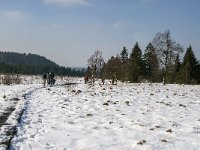 B, Liege, Waimes, Fagne de la Poleur 41, Saxifraga-Jan van der Straaten