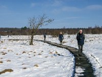 B, Liege, Waimes, Fagne de la Poleur 42, Saxifraga-Jan van der Straaten