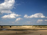 Drifting sand with exceptional pools due to heavy rain, Loonse en Drunense Duinen National Park, North Brabant, Netherlands  Drifting sand with exceptional pools due to heavy rain, Loonse en Drunense Duinen National Park, North Brabant, Netherlands : sand drift, drifting sand, sand, sandy, loonse en drunense duinen, national park, np, rural, landscape, rural landscape, rural scene, non-urban landscape, non-urban scene, outside, outdoor, outdoors, no people, nobody, season, summer, summertime, spring, springtime, tree, trees, woodland, forest, nature, natural, nature protection, north brabant, dutch, netherlands, europe, european, pool, pools, water, heavy rain