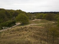 Dunes of Burgh-Haamstede, Zeeland, Netherlands  Dunes of Burgh-Haamstede, Zeeland, Netherlands : dunes, sand, nature, natural, grass, forest, tree, hills, nature reserve, rural landscape, Burgh-Haamstede, Schouwen-Duiveland, Zeeland, Netherlands, Dutch, path