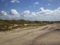 NL, Zeeland, Schouwen-Duiveland, Westenschouwen 48, Saxifraga-Roel Meijer  Zeeland, Netherlands : beach, dunes, sand, coast, shore, Burgh-Haamstede, Westenschouwen, Zeeland, Netherlands, Dutch