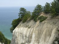 DK, Sjaelland, Vordingborg, Moens Klint North 12, Saxifraga-Jan van der Straaten