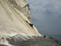 DK, Sjaelland, Vordingborg, Moens Klint North 21, Saxifraga-Jan van der Straaten