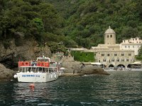 I, Liguria, Camogli, San Fruttuoso 2, Saxifraga- Hans Dekker