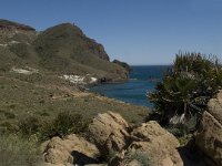 E, Almeria, Nijar, Cabo de Gata 12, Saxifraga-Jan van der Straaten