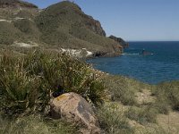 E, Almeria, Nijar, Cabo de Gata 13, Saxifraga-Jan van der Straaten