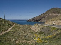 E, Almeria, Nijar, Cabo de Gata 38, Saxifraga-Willem van Kruijsbergen