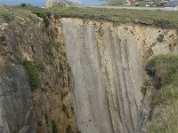 E, Cantabria, Liencres, Bufon de Liencres 4, Saxifraga-Willem van Kruijsbergen