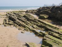 E, Cantabria, Liencres, Dunas de Liencres 34, Saxifraga-Willem van Kruijsbergen