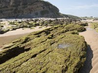 E, Cantabria, Liencres, Dunas de Liencres 41, Saxifraga-Willem van Kruijsbergen