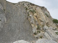 E, Cantabria, Liencres, Punta del Pino 73, Saxifraga-Willem van Kruijsbergen