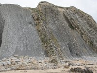 E, Cantabria, Liencres, Punta del Pino 86, Saxifraga-Willem van Kruijsbergen