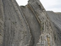 E, Cantabria, Liencres, Punta del Pino 89, Saxifraga-Willem van Kruijsbergen