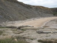 E, Cantabria, Miengo, Playa de los Caballos 16, Saxifraga-Willem van Kruijsbergen