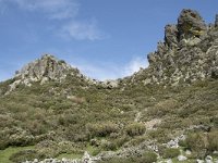 E, Cantabria, Vega de Liebana, Puerto de San Glorio 16, Saxifraga-Willem van Kruijsbergen