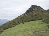 E, Cantabria, Vega de Liebana, Puerto de San Glorio 21, Saxifraga-Willem van Kruijsbergen