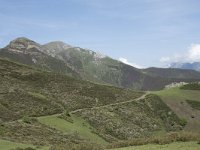 E, Cantabria, Vega de Liebana, Puerto de San Glorio 5, Saxifraga-Willem van Kruijsbergen