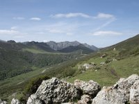 E, Cantabria, Vega de Liebana, Puerto de San Glorio 9, Saxifraga-Willem van Kruijsbergen