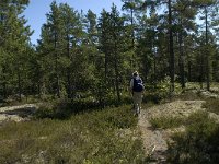 S, Gavleborgs lan, Hudiksvall, Holick 10, Saxifraga-Jan van der Straaten