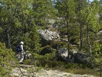 S, Gavleborgs lan, Hudiksvall, Holick 14, Saxifraga-Jan van der Straaten