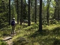 S, Gavleborgs lan, Hudiksvall, Holick 25, Saxifraga-Jan van der Straaten