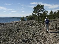 S, Gavleborgs lan, Hudiksvall, Holick 44, Saxifraga-Jan van der Straaten