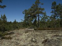 S, Gavleborgs lan, Hudiksvall, Holick 7, Saxifraga-Jan van der Straaten