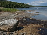 S, Vasternorrlands lan, Ornskoldsvik, Skuleskogen 10, Saxifraga-Jan van der Straaten